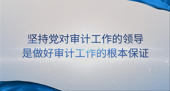 [專家談審計法]王偉：堅持黨對審計工作的領(lǐng)導是做好審計工作的根本保證 